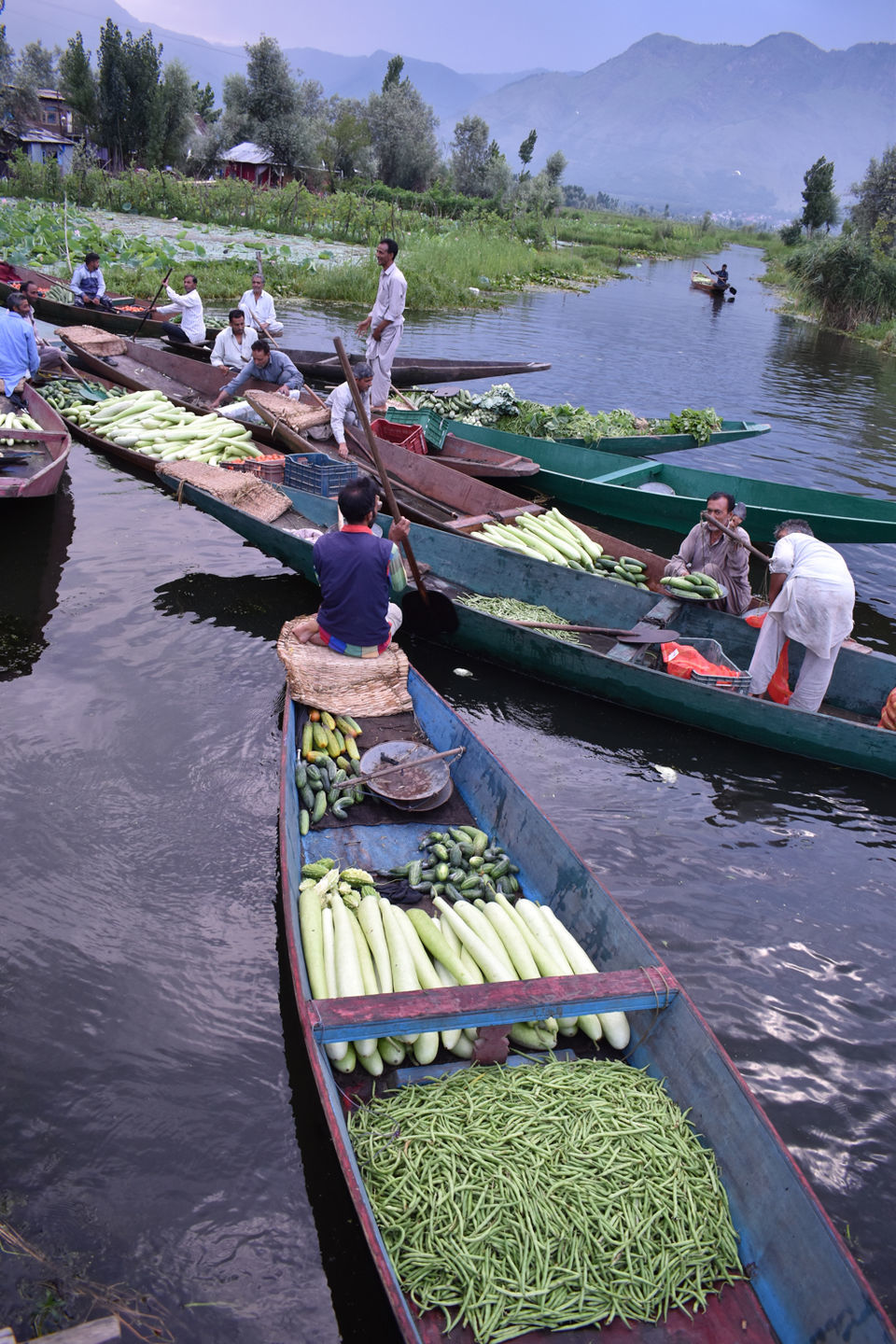 Photo of Floating Vegetable Market At The Dal by Aamir Wani