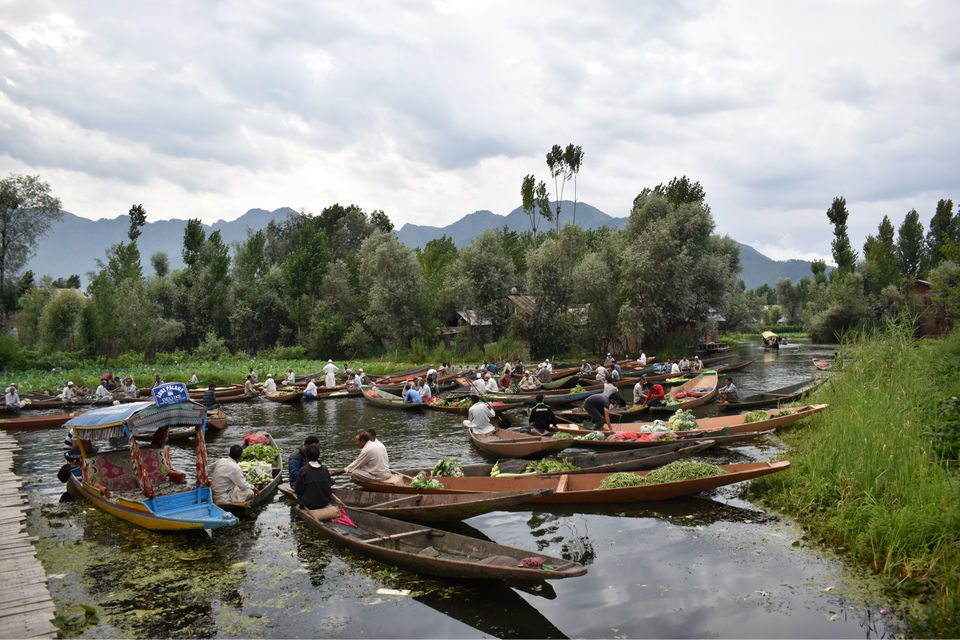 Photo of Floating Vegetable Market At The Dal by Aamir Wani