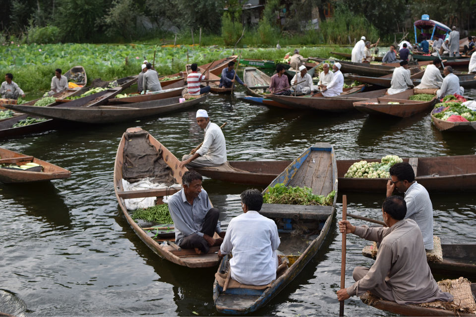 Photo of Floating Vegetable Market At The Dal by Aamir Wani