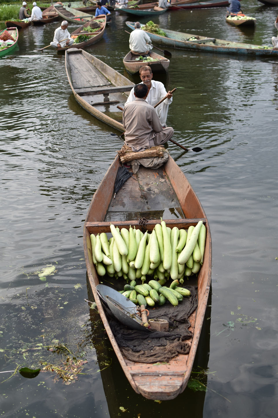 Photo of Floating Vegetable Market At The Dal by Aamir Wani