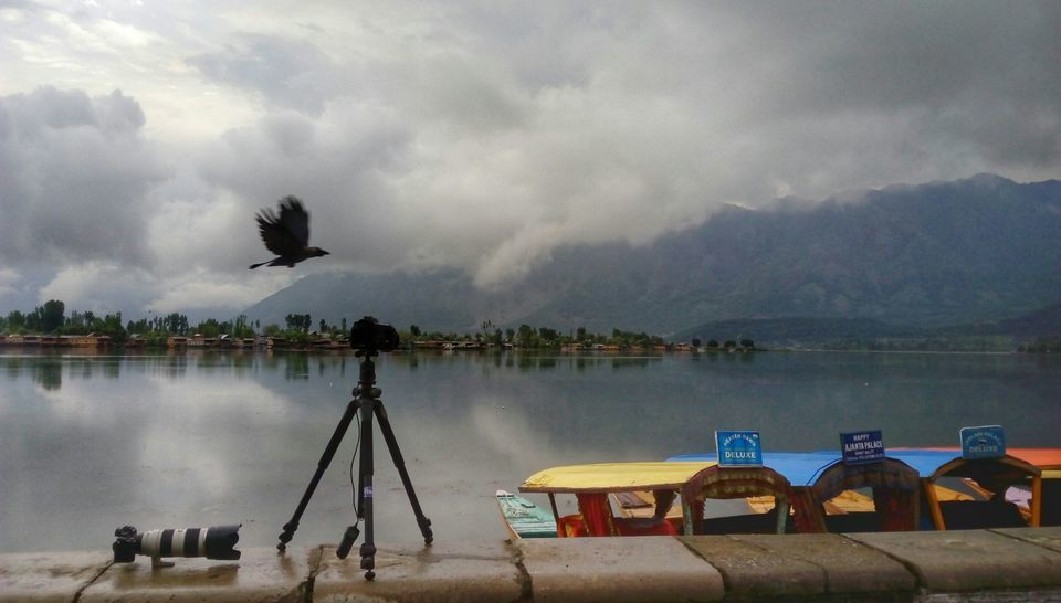 Photo of When a photographer got Leh'd by Abhishek Raj Chaudhary