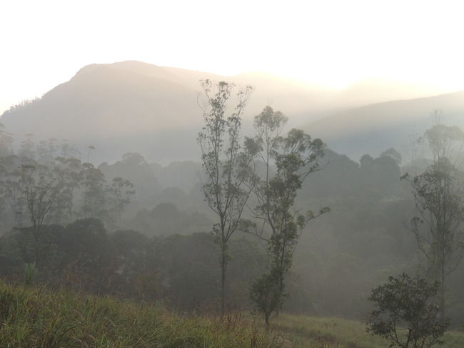 Photo of Thekkady, Kerala, India by Deepanvita Sharma