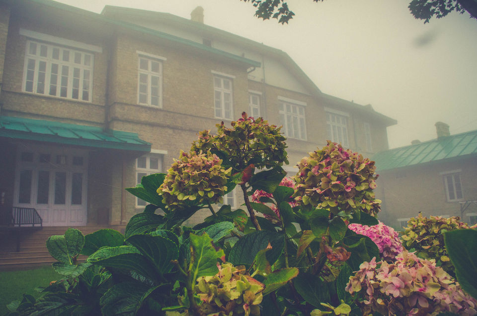 Photo of The Royal Chail Palace In The Himalayas Is A Perfect Weekend Getaway by Sreshti Verma