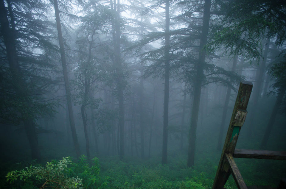 Photo of The Royal Chail Palace In The Himalayas Is A Perfect Weekend Getaway by Sreshti Verma