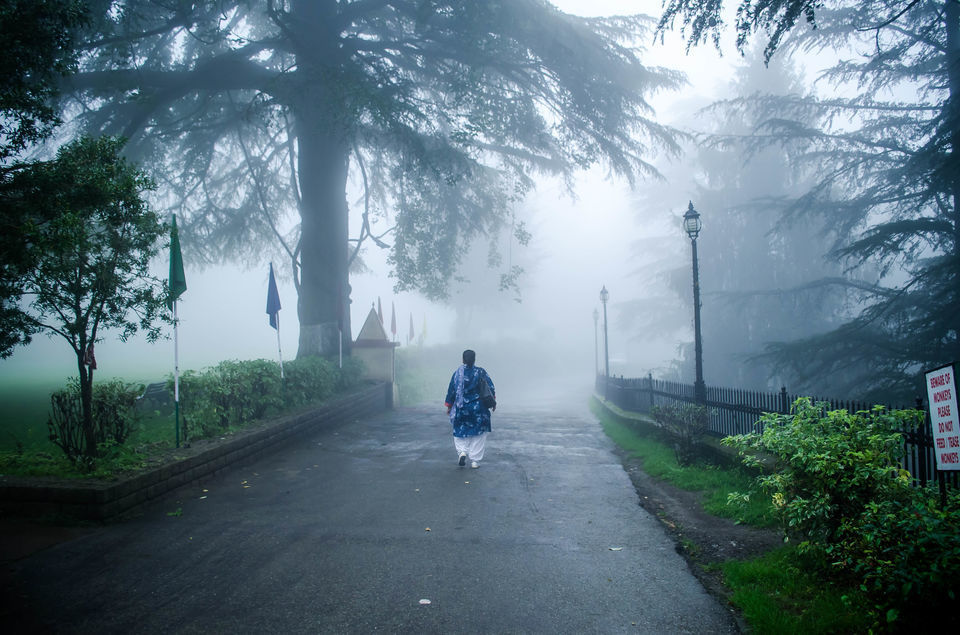 Photo of The Royal Chail Palace In The Himalayas Is A Perfect Weekend Getaway by Sreshti Verma