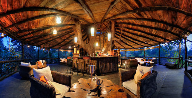 Photo of Tree House Hideaway - Bandhavgarh National Park, Tala, Madhya Pradesh, India by Tanushree Patwa