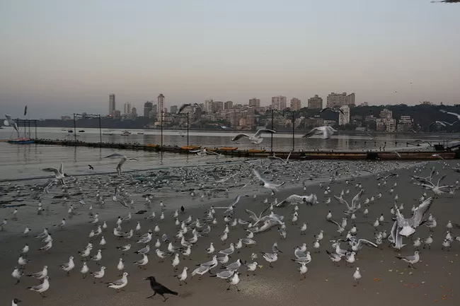 Photo of Juhu Beach, Mumbai, Maharashtra, India by Shifa Thobani