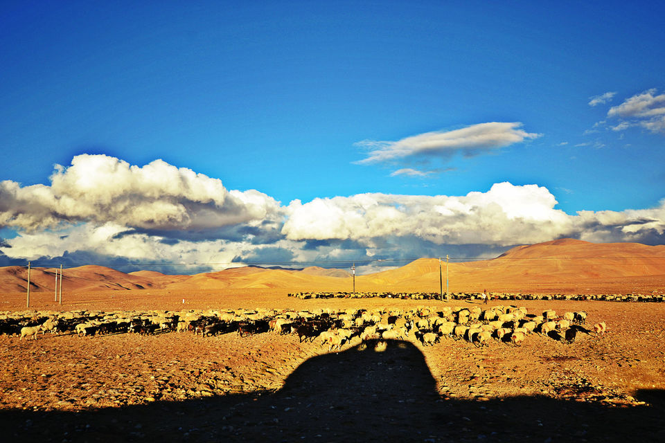 Photo of Drive To The Highest Point Of Adventure – 'Everest Base Camp', Tibet by Nerdy Adventuress