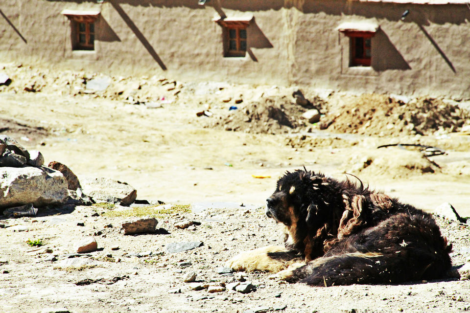 Photo of Drive To The Highest Point Of Adventure – 'Everest Base Camp', Tibet by Nerdy Adventuress