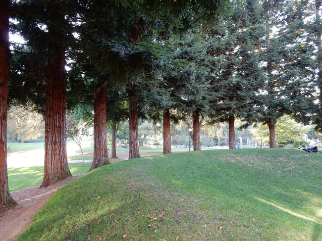 Photo of San Francisco August 2015 Trip by Shantesh Patil