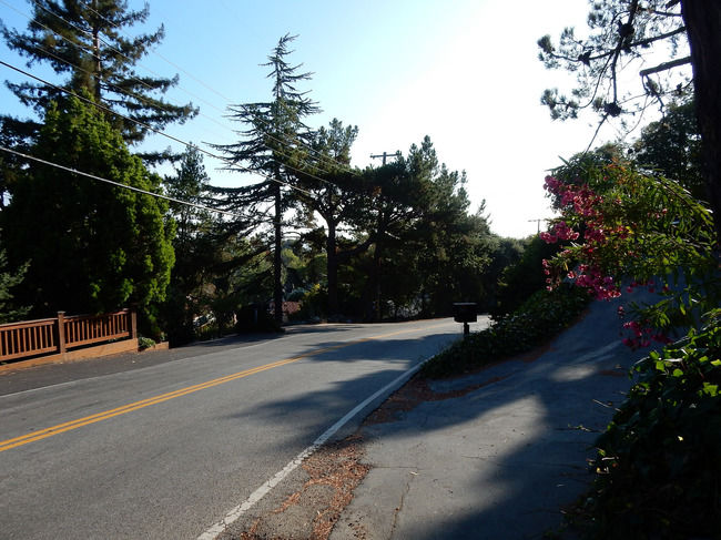 Photo of San Francisco August 2015 Trip by Shantesh Patil
