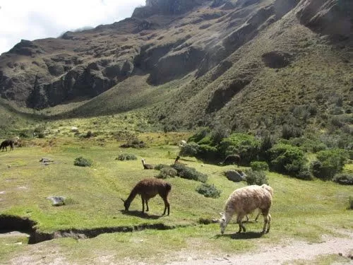 Photo of Puyupatamarca, Urubamba Province, Cusco, Peru by Maria Diamandi