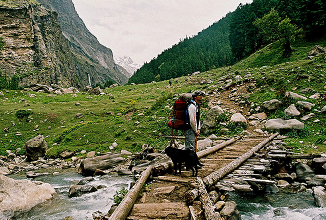 Photo of 9 Reasons Why Every Traveller Should Be Thankful For Kasol by Gunjan Upreti