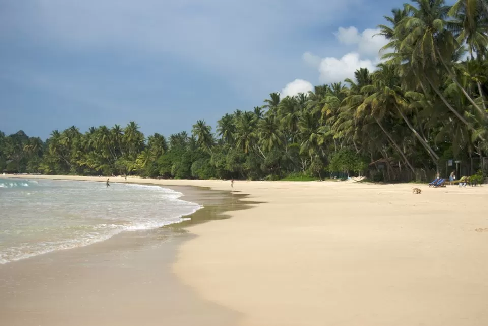 Photo of Mirissa, Southern Province, Sri Lanka by Sonalika Debnath