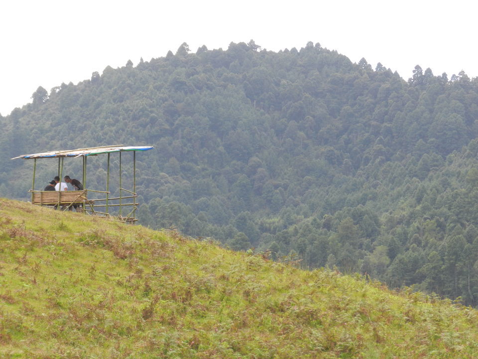 Photo of Ziro by Aakanksha Magan