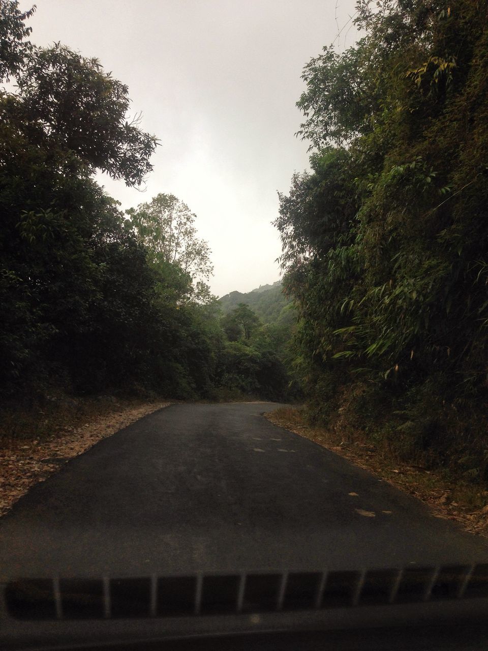Photo of Meghalaya: An unplanned adventure by my travel trails