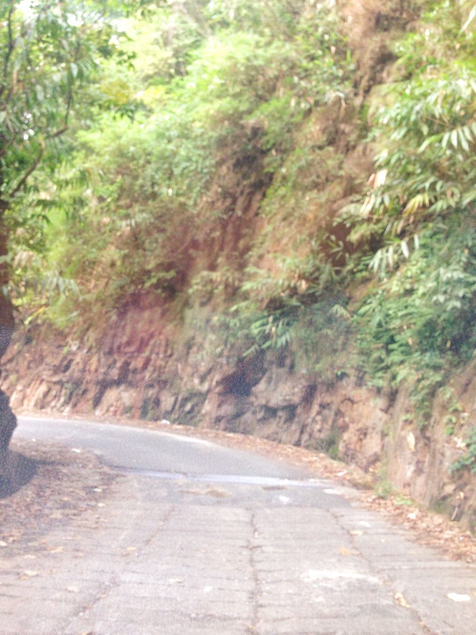 Photo of Meghalaya: An unplanned adventure by my travel trails