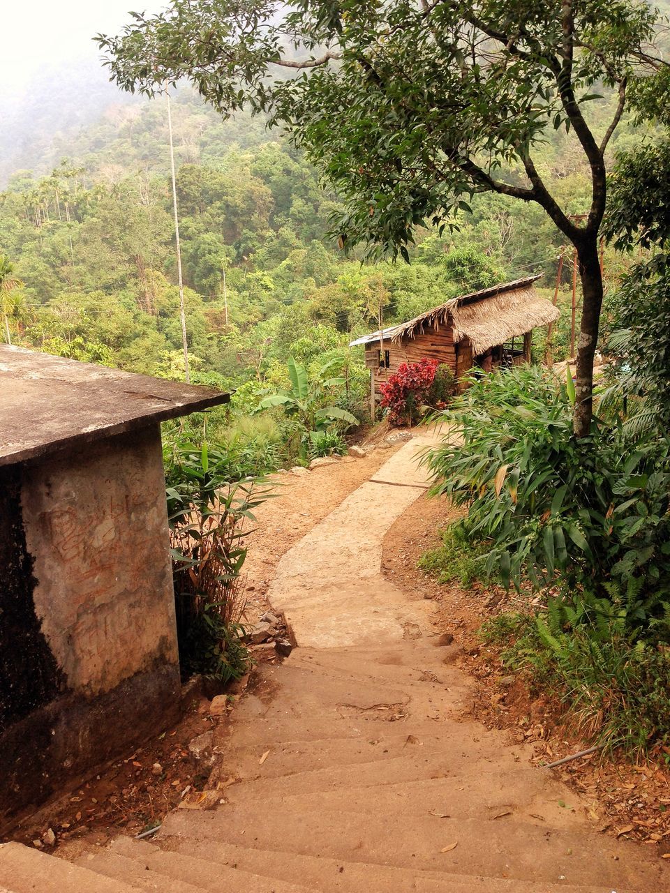 Photo of Meghalaya: An unplanned adventure by my travel trails