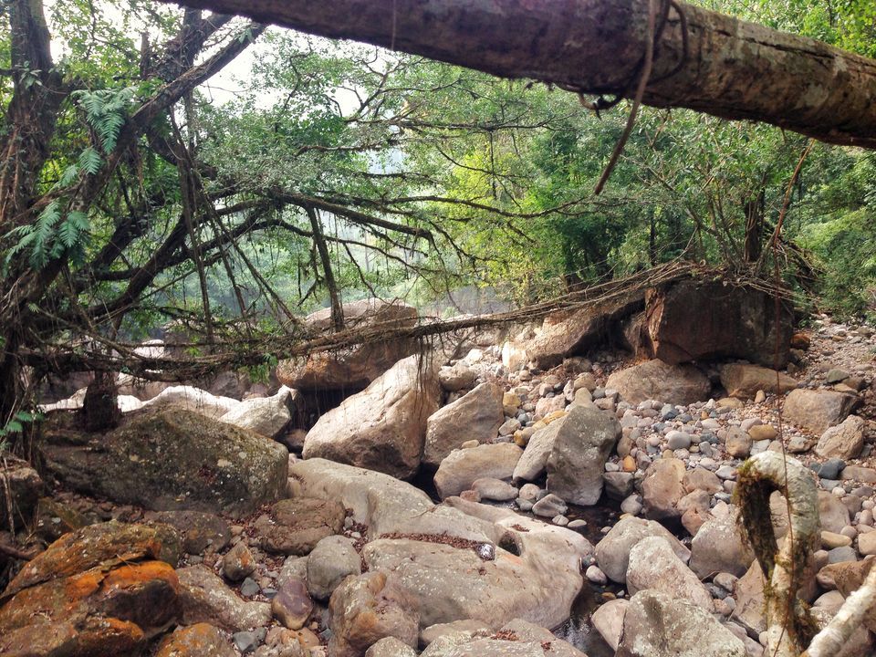 Photo of Meghalaya: An unplanned adventure by my travel trails