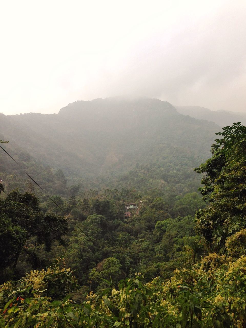 Photo of Meghalaya: An unplanned adventure by my travel trails