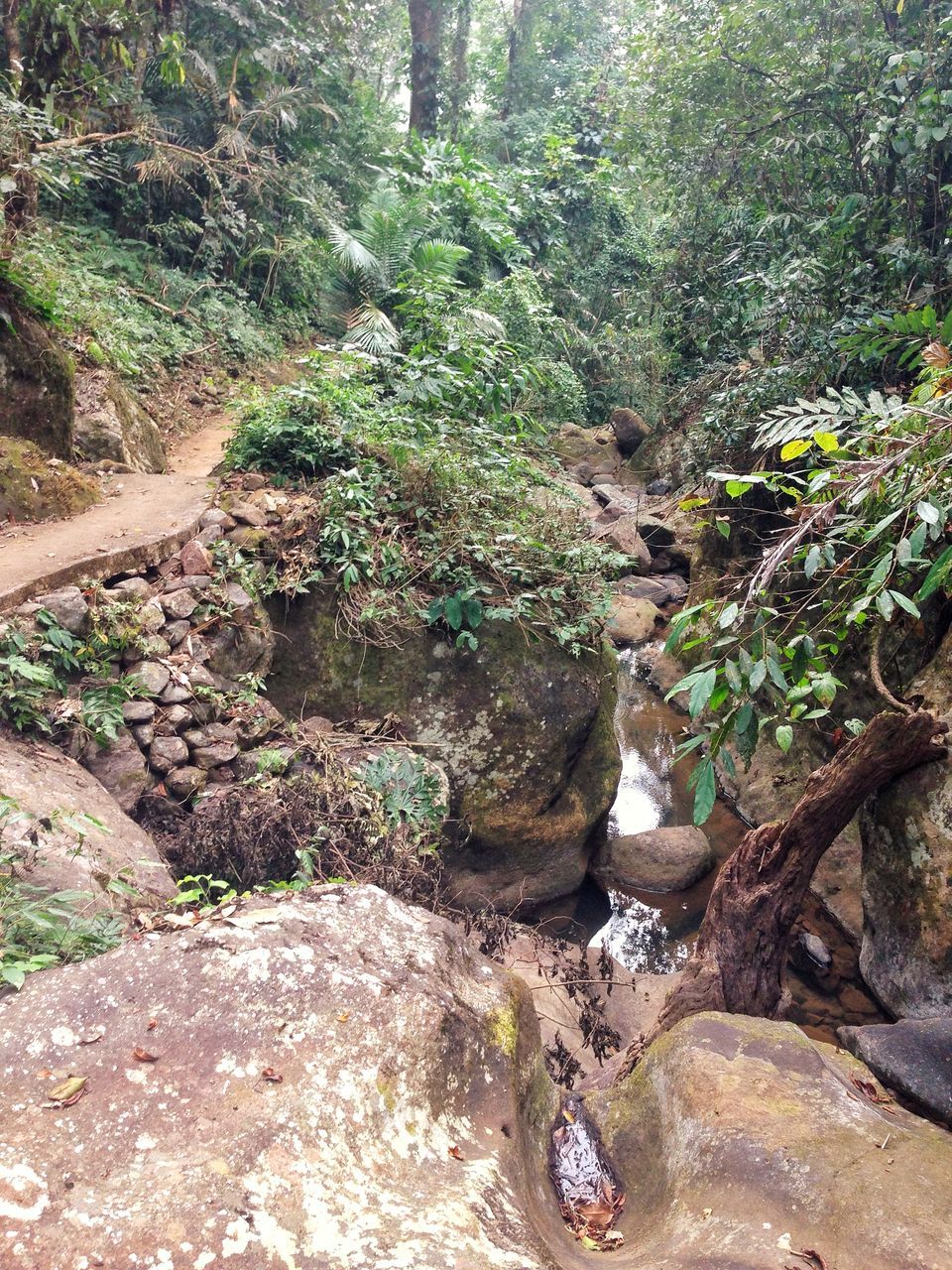Photo of Meghalaya: An unplanned adventure by my travel trails