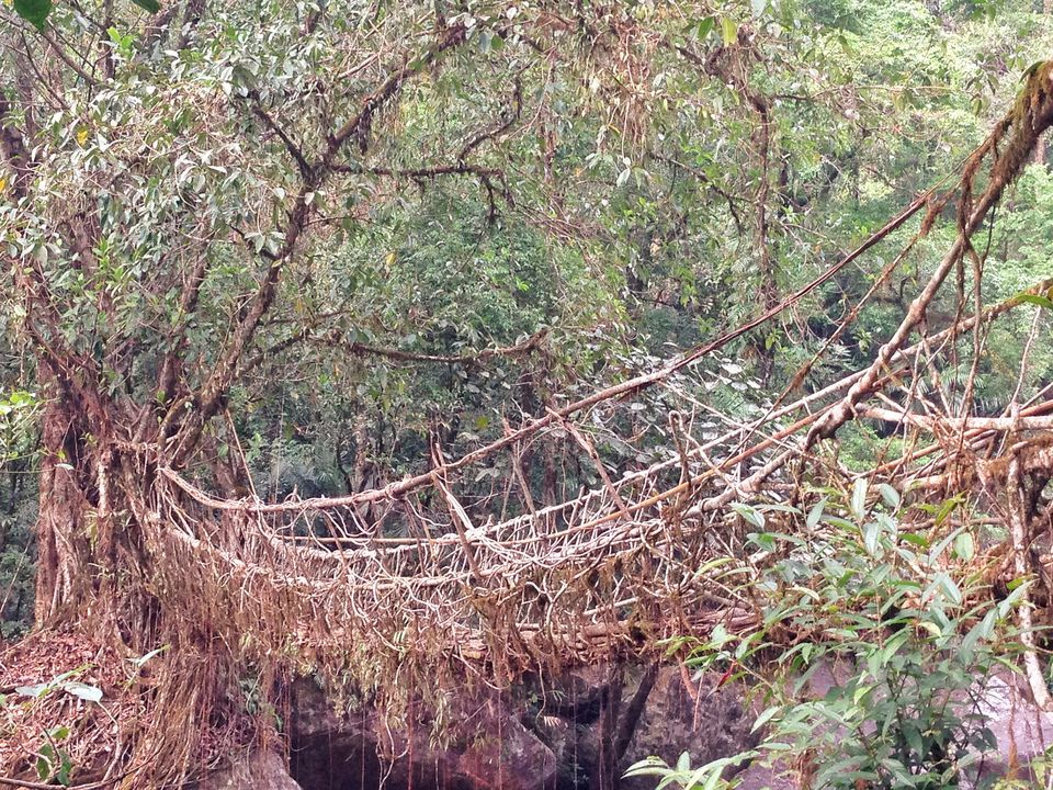 Photo of Meghalaya: An unplanned adventure by my travel trails