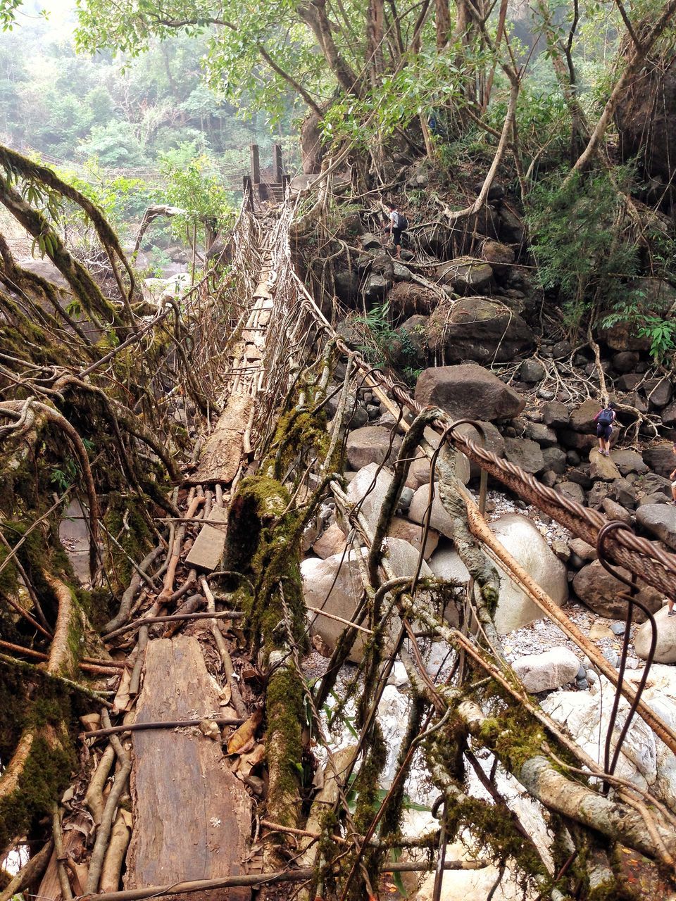 Photo of Meghalaya: An unplanned adventure by my travel trails