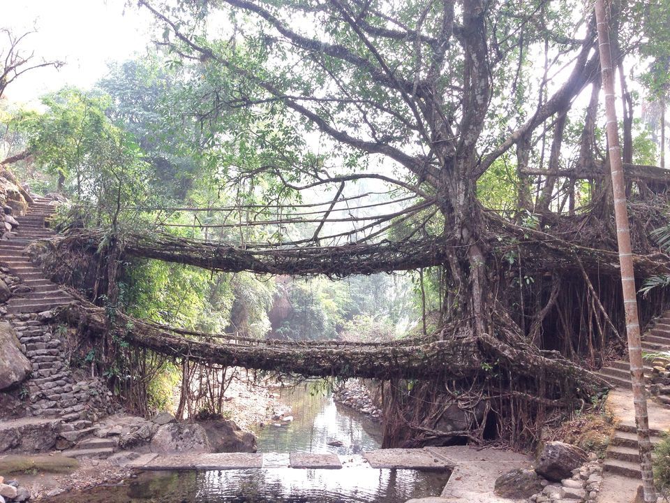 Photo of Meghalaya: An unplanned adventure by my travel trails