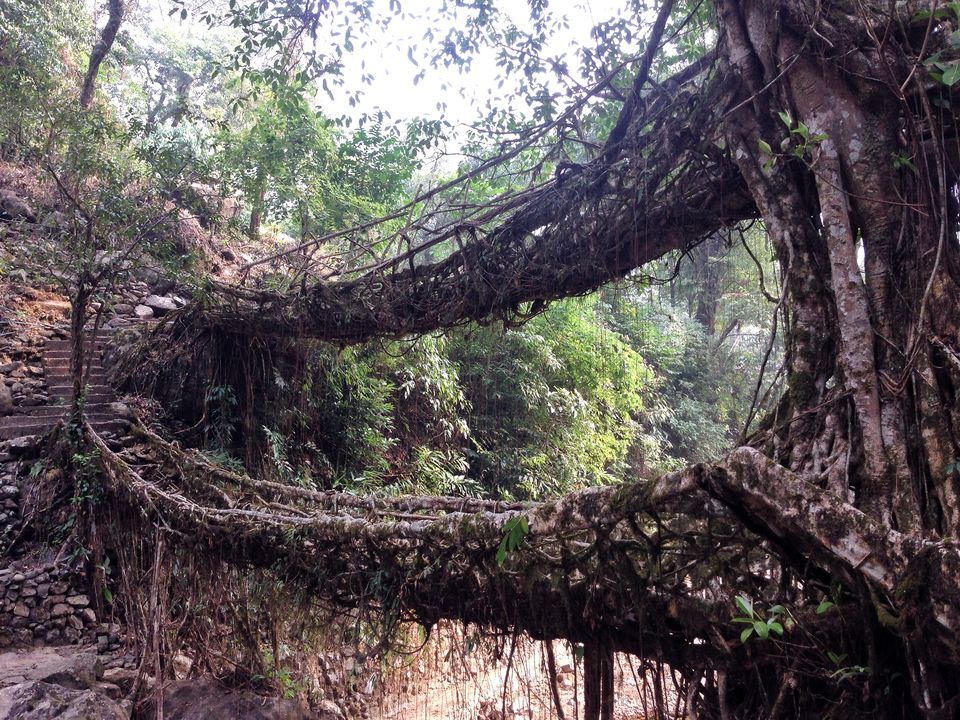 Photo of Meghalaya: An unplanned adventure by my travel trails