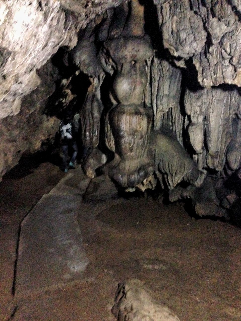 Photo of Meghalaya: An unplanned adventure by my travel trails