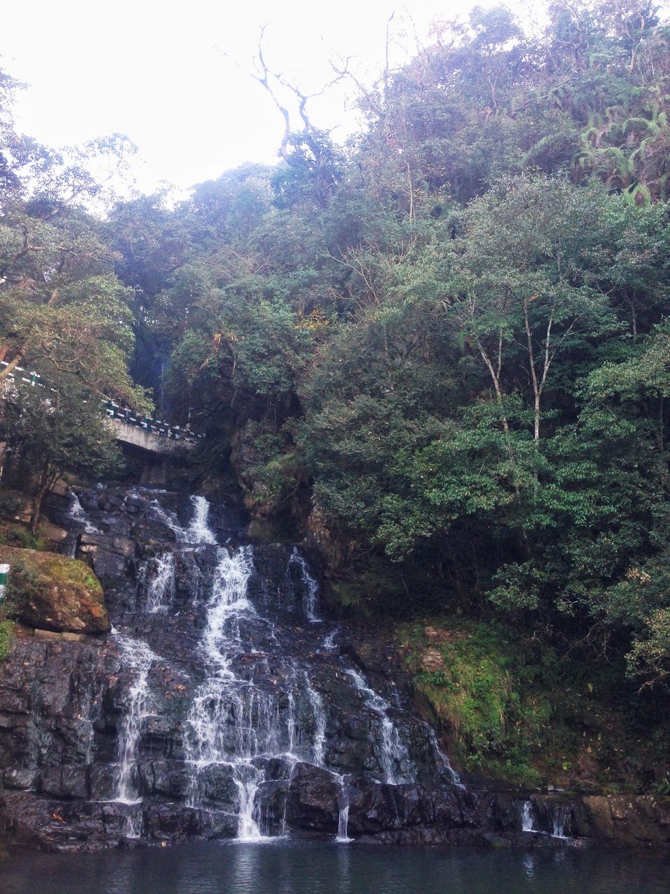 Photo of Meghalaya: An unplanned adventure by my travel trails