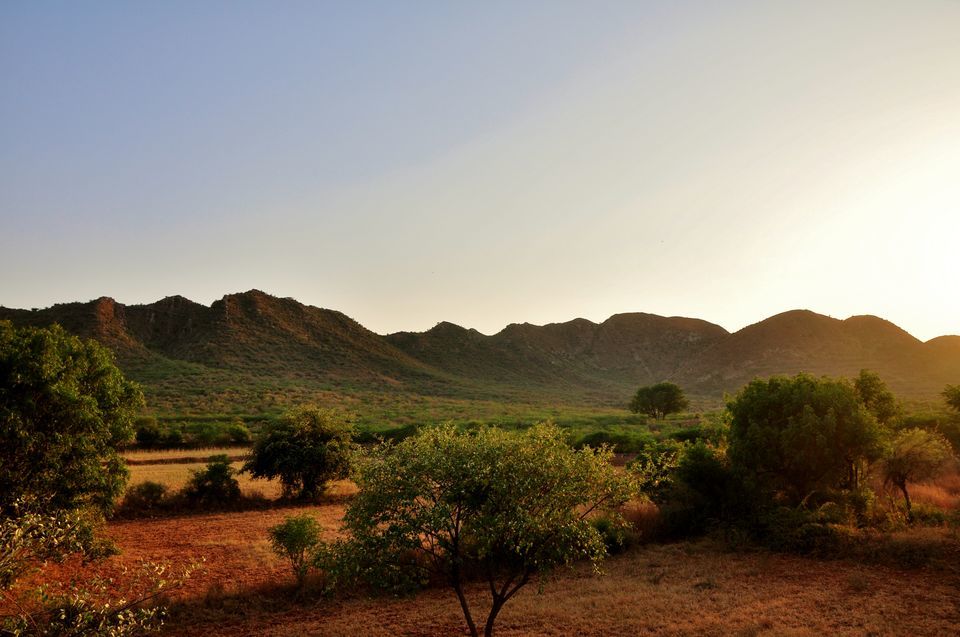 Photo of Most Delhiites Don’t Know There’s This Gorgeous Camping Site Just 200km Away From The City by Gunjan Upreti
