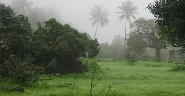 Photo of Salalah, Dhofar Governorate, Oman by Aseem Rastogi