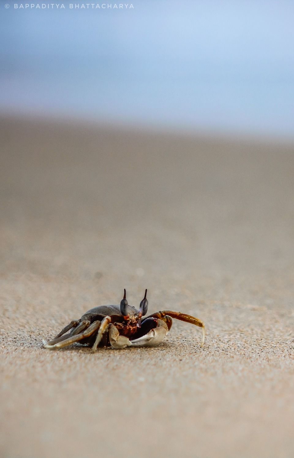 Photo of Nivti Beach, Nivati, Maharashtra, India by Bappaditya Bhattacharya