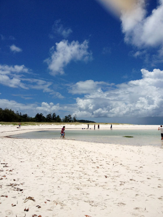 Photo of Banana rafts, white beaches and the Great Barrier Reef by Becky Mahan