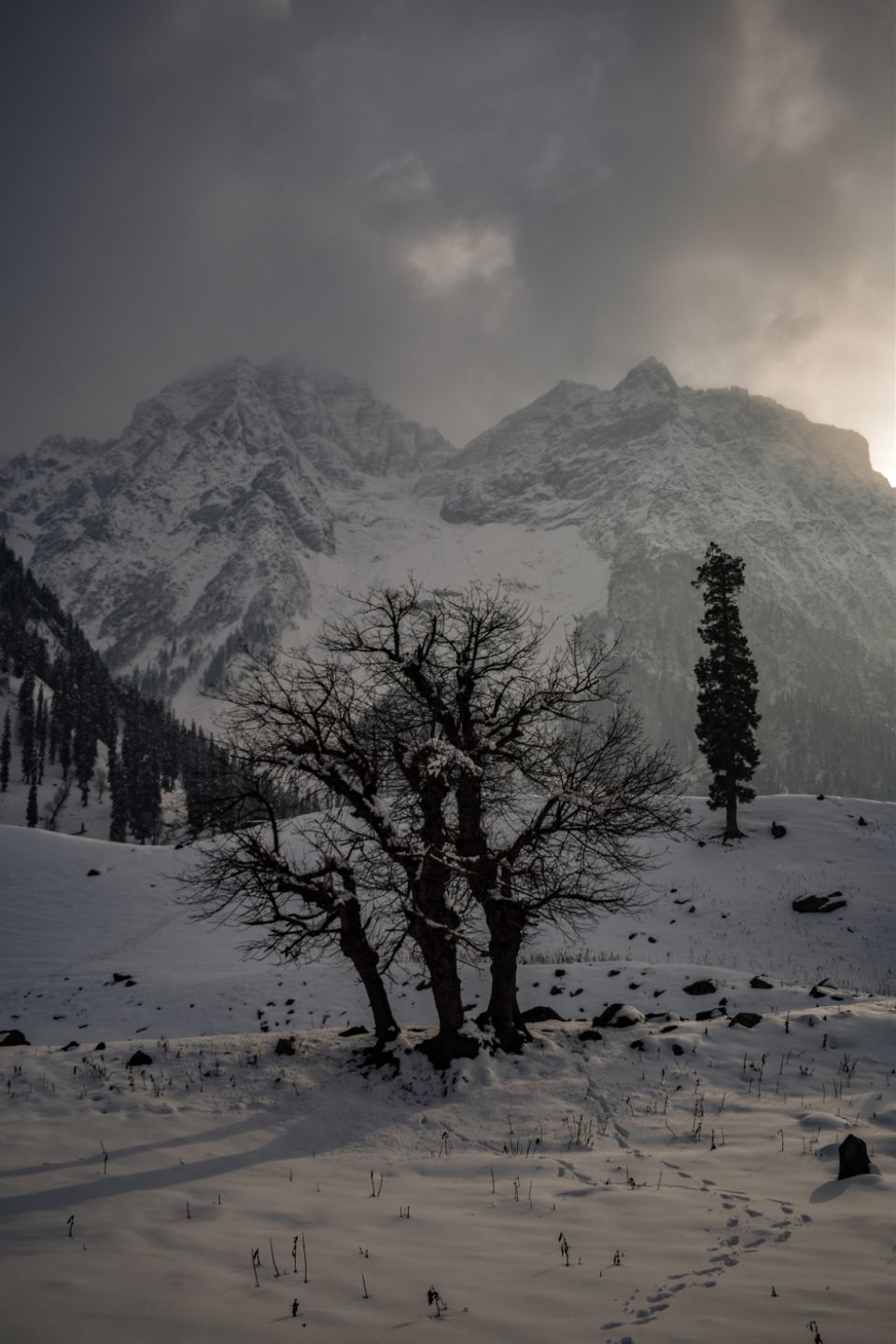 Photo of These pictures of Sonmarg in snow would make you pack your bags and head to Kashmir right away! by Aamir Wani