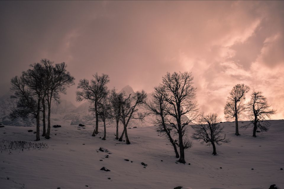 Photo of These pictures of Sonmarg in snow would make you pack your bags and head to Kashmir right away! by Aamir Wani
