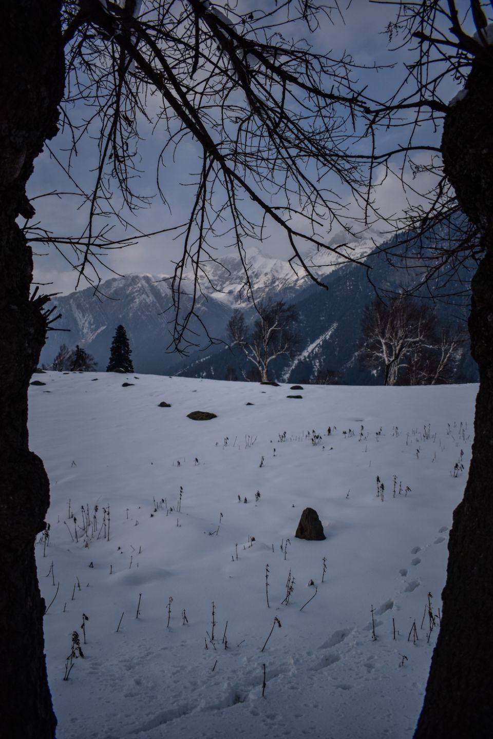 Photo of These pictures of Sonmarg in snow would make you pack your bags and head to Kashmir right away! by Aamir Wani