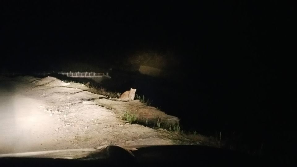 Photo of World's Most Dangerous Roads between Kishtwar (Jammu & Kashmir) and Killar (Himachal Pradesh) by Nandeep Pathak
