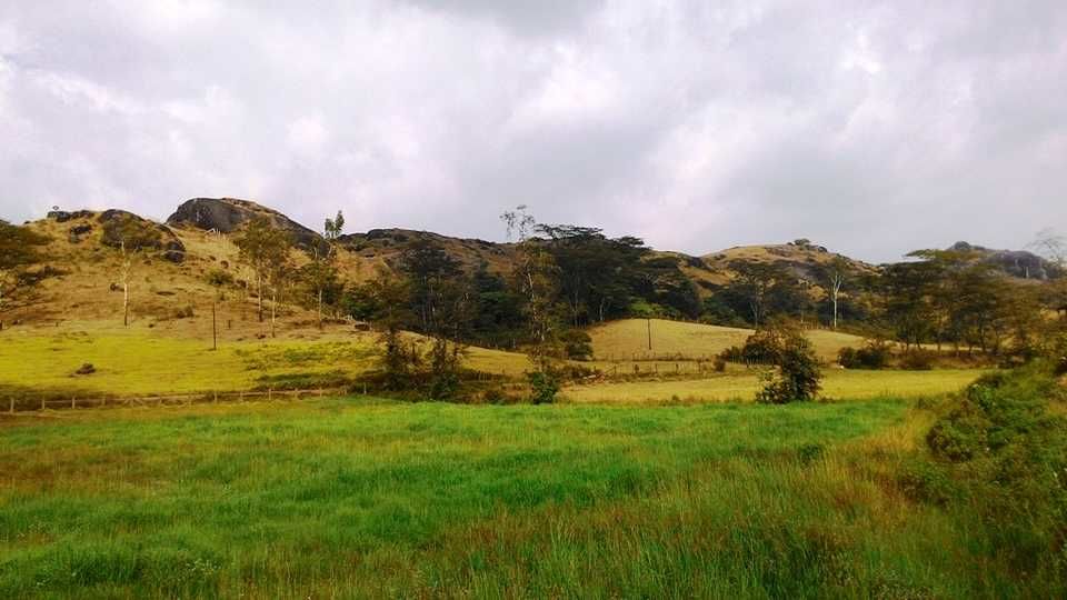 Photo of Paragliding in Vagamon - How I Conquered My Fear of Heights by Manish Menon