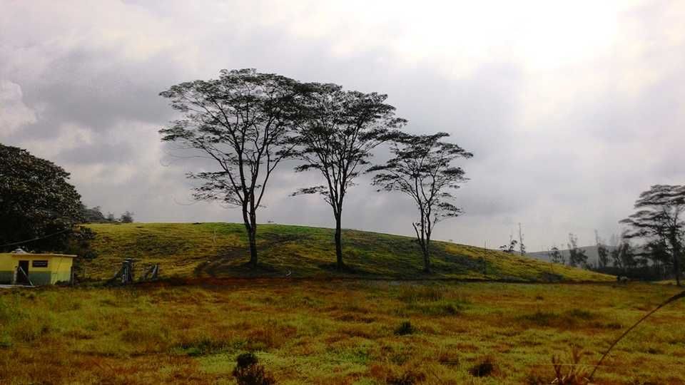 Photo of Paragliding in Vagamon - How I Conquered My Fear of Heights by Manish Menon
