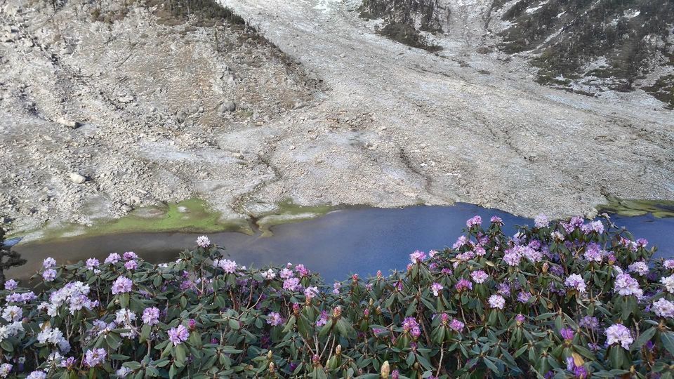 Photo of 12 Months, 12 Trips: The Story Of How I Travelled Through The Year Without Quitting My 9-to-5 Job by Sreshti Verma