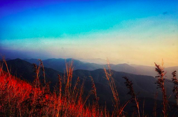 Photo of Ranipuram Trek: Ooty of Kerala by Ishvani Hans