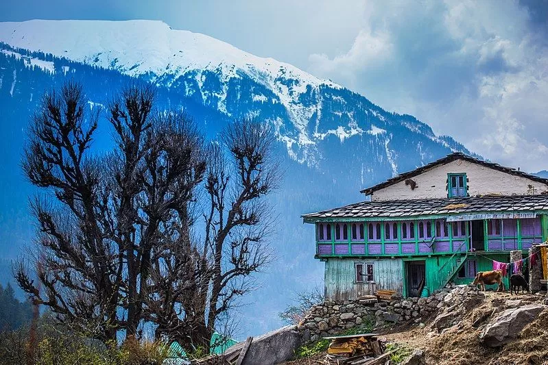 Photo of Kalgha, Sosan, Himachal Pradesh, India by Ishvani Hans