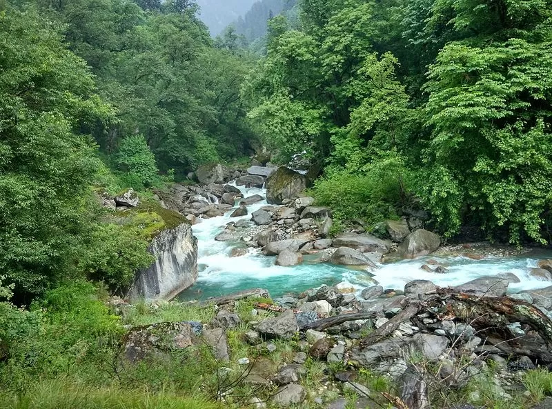 Photo of Sainj, Himachal Pradesh, India by Ishvani Hans