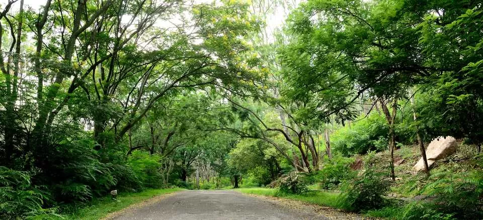 Photo of Horsley Hills, Andhra Pradesh, India by Raj Abhishek
