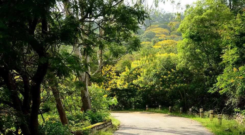 Photo of Horsley Hills, Andhra Pradesh, India by Raj Abhishek