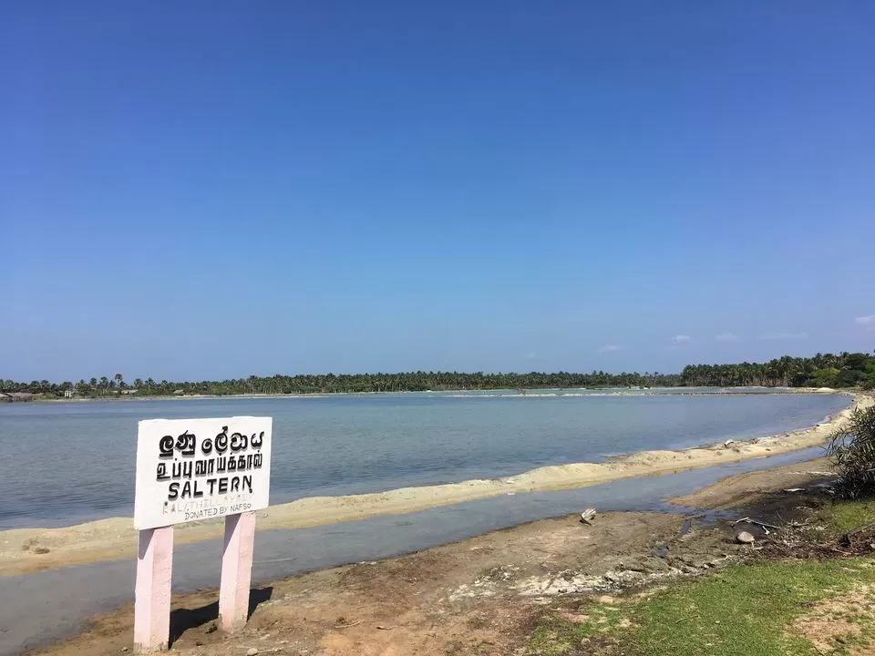 Photo of Kalpitiya, North Western Province, Sri Lanka by Shipra Shekhar
