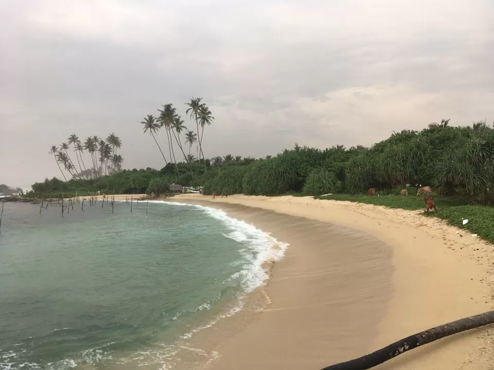 Photo of Unawatuna, Southern Province, Sri Lanka by Shipra Shekhar