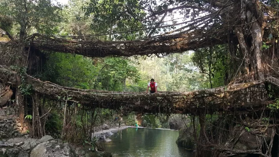 Photo of Meghalaya, India by Aakanksha Magan